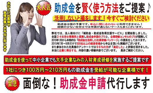 ナイストレーディングカンパニー合同会社,助成金代行イメージ写真1