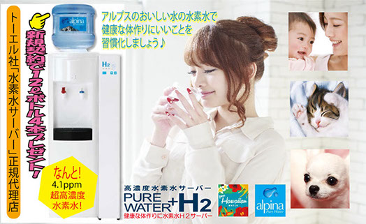 ナイストレーディングカンパニー合同会社,トーエルサーバーイメージ写真1